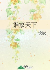谁家天下