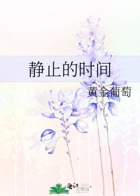《静止的时间》