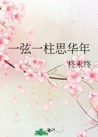 一弦一柱思华年