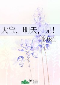 《大宝,明天,见!》