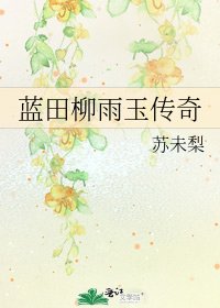 《藍田柳雨玉傳奇》