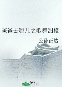 《爸爸去哪儿之歌舞甜橙》