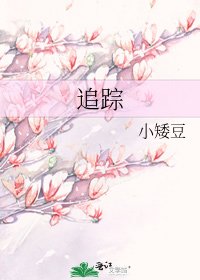 《追踪》