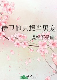 《侍卫他只想当男宠》