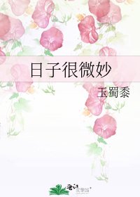 《日子很微妙》