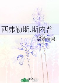 《西弗勒斯.斯内普》
