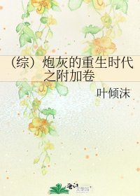 《(综)炮灰的重生时代之附加卷》