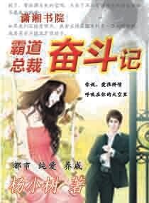 《霸道总裁奋斗记》