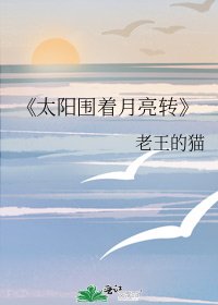 《太陽圍著月亮轉》