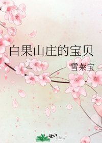 《白果山庄的宝贝》