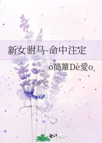 《新女駙馬-命中註定》