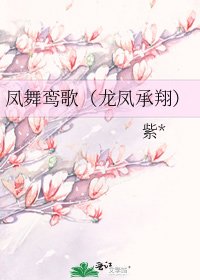 《鳳舞鸞歌(龍鳳承翔)》