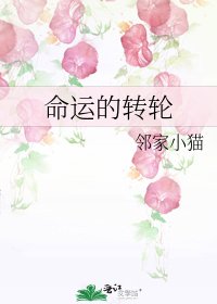 《命运的转轮》