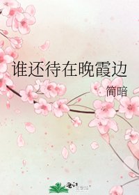《谁还待在晚霞边》