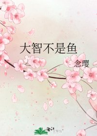 《大智不是魚》