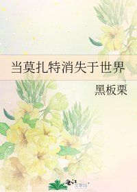 《当莫扎特消失于世界》