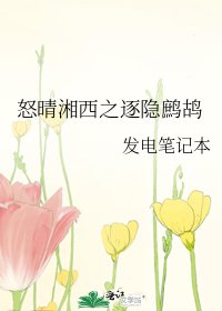 《怒晴湘西之逐隱鷓鴣》