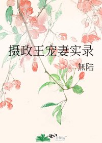 《摄政王宠妻实录》