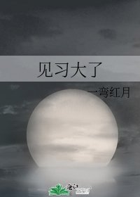 《见习大了》