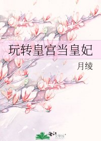 玩转皇宫当皇妃