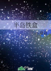 《半岛铁盒》