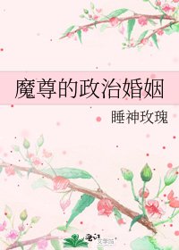 《魔尊的政治婚姻》