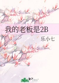 《我的老板是2B》