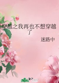 《穿越之我再也不想穿越了》