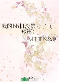 我的bb机没信号了（短篇）