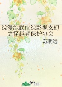 《綜漫綜武俠綜影視玄幻之穿越者保護協會》