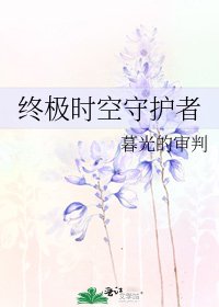 《终极时空守护者》