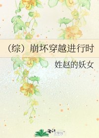 《(綜)崩壞穿越進行時》