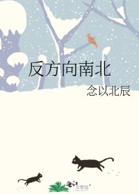 《反方向南北》