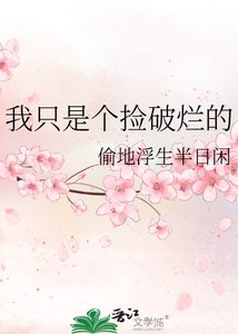 《我只是个捡破烂的》