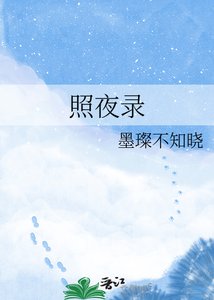 《照夜录》