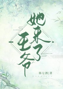 《王爷,她来了》