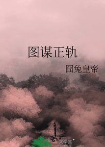 《图谋正轨》