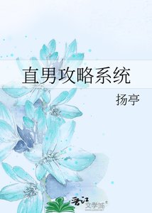 《直男攻略系統》