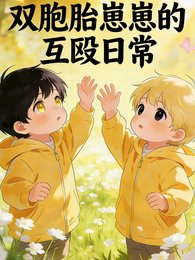《雙胞胎崽崽的互毆日常》