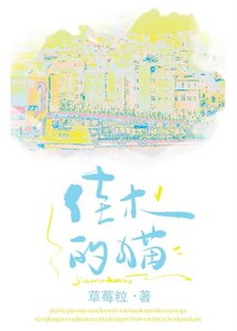 佳木的貓