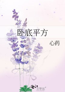《卧底平方》