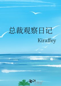 《总裁观察日记》