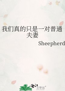 《我們真的只是一對普通夫妻》