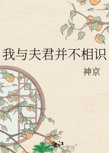 《我與夫君並不相識》