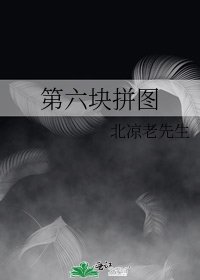 《第六块拼图》