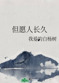《但愿人长久》