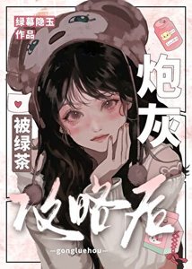 《攻略者他两副面孔》