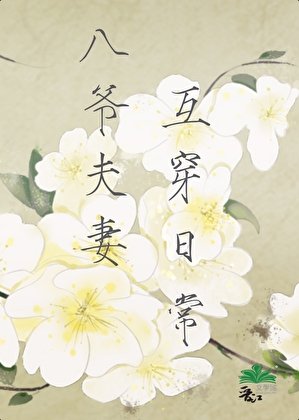八爺夫妻互穿日常（清穿）