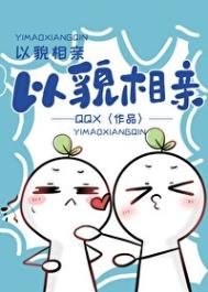 《以貌相瞒》