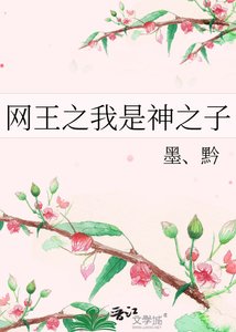 《網王之我是神之子》